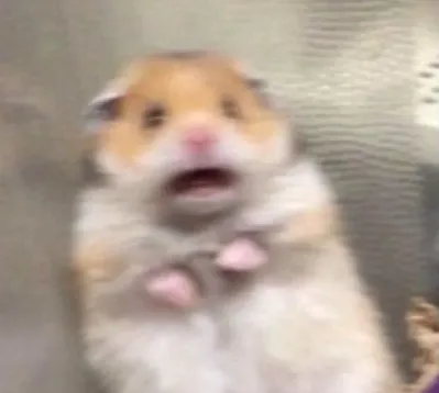 A hamster screeching in panic