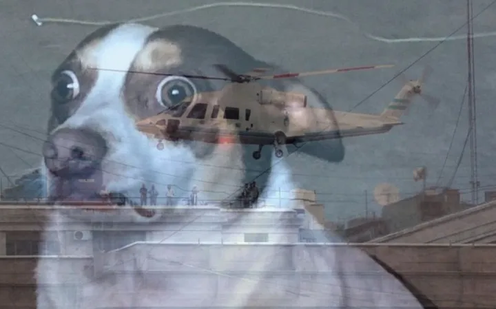 Vietnam flashbacks