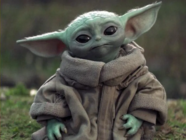 Baby yoda confused