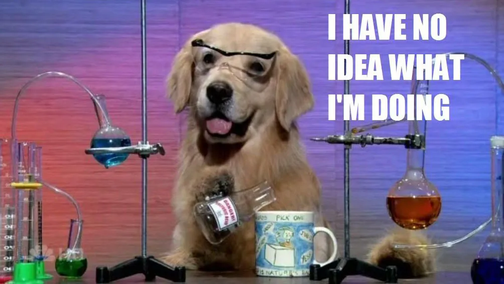 I have no idea what I'm doing meme