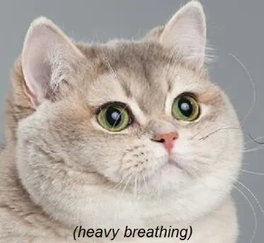 Heavy breathing meme