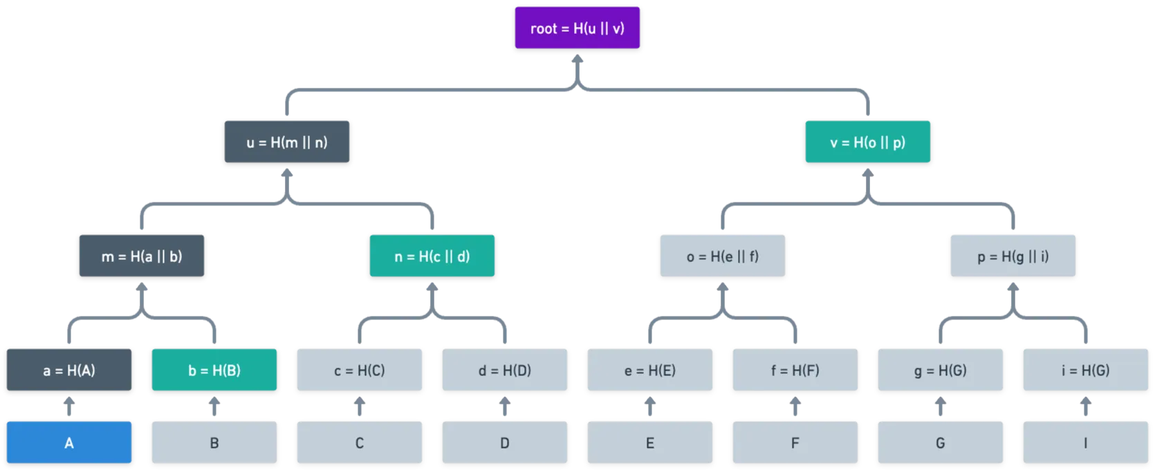 Merkle proof visualization, with only a few nodes needed for the proof