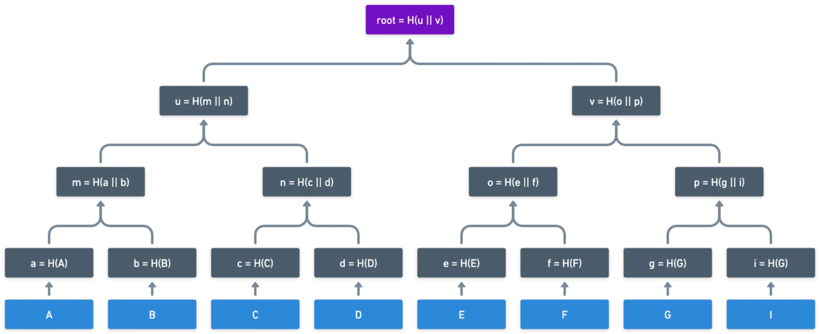 A Merkle tree