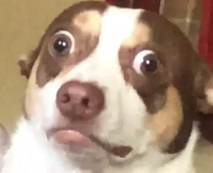 Meme de Mr Bubz