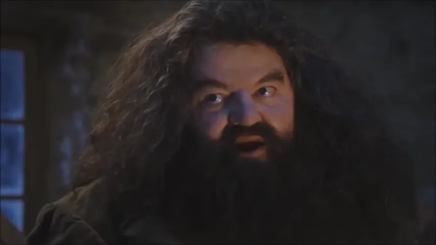 Hagrid de Harry Potter