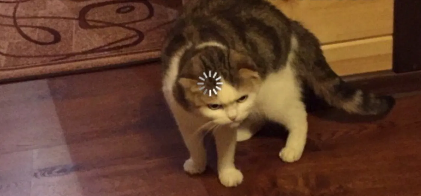 A cat with a loading spinner on its head