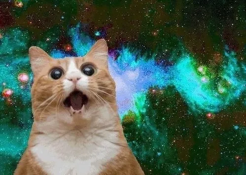 Gato asombrado