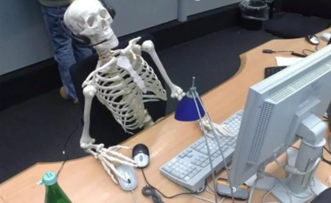 A skeleton on a computer