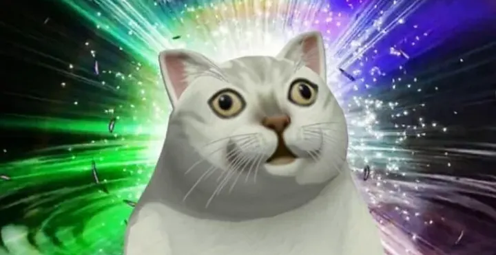 Meme del gato asombrado